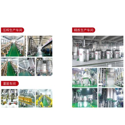 包邮圣府第5L油一级小榨纯花生油商用家用整箱食用油厂家批发图3