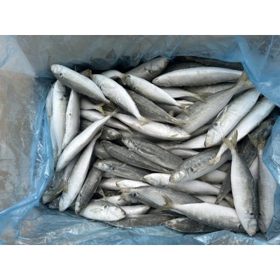 灯光条冻巴浪鱼黄占鱼池鱼正吧食堂商超钓饵用途烧烤厂家直销图2