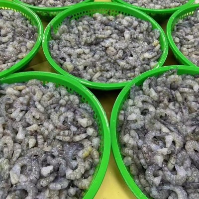 椿玲优鲜蓝虾大虾仁整箱包邮10kg冷冻干冰青虾仁商用酒店餐饮冷冻图3