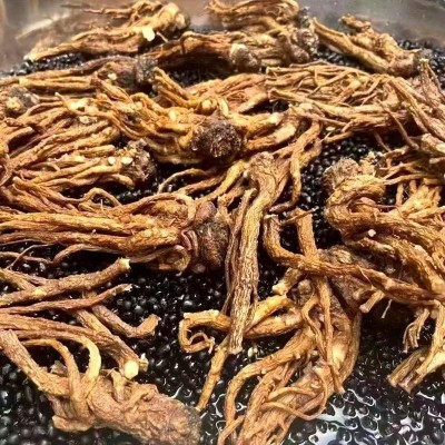 【一件代发】当归黑豆即食手工制作熬制无任何添加剂营养丰富罐装图4
