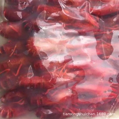湖北洪湖液氮速冻虾 加热即食 麻辣味456钱 大量批发