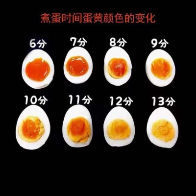 60枚可生食鸡蛋 无菌新鲜鸡蛋溏心鸡蛋53g大蛋