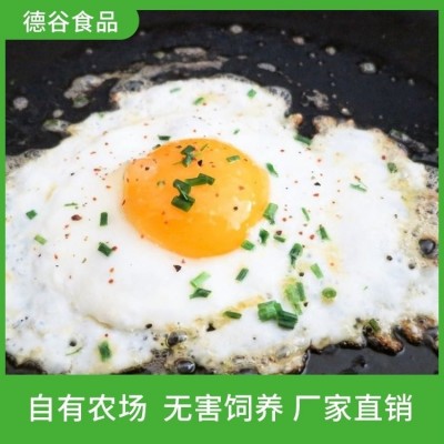 快餐食品用荷包蛋代加工厂 德谷食品 健康营养 迅速发货图4