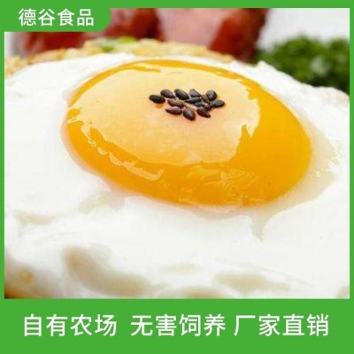快餐食品用荷包蛋代加工厂 德谷食品 健康营养 迅速发货图5