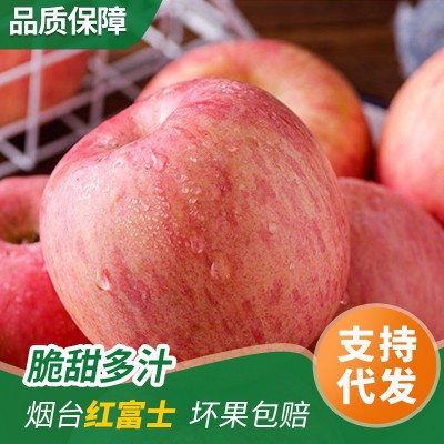 烟台苹果红富士水晶富士栖霞苹果产地直发新鲜当季大果苹果礼盒装图6