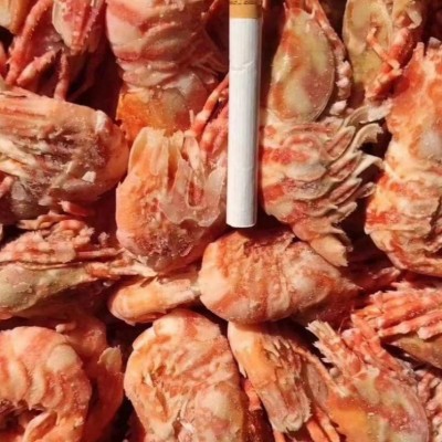 俄罗斯格陵兰虾.整车进口.一手货源图2