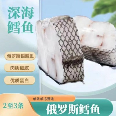 俄罗斯水鳕鱼 深海捕捞含冰保鲜 水鳕鱼被俄罗斯誉为海洋牛奶