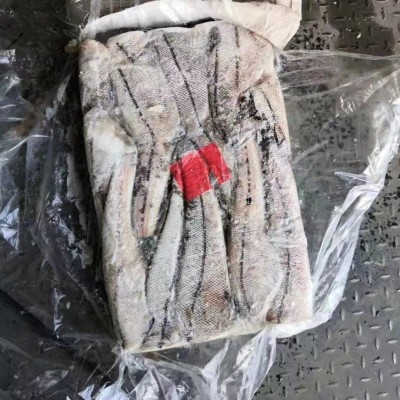 俄罗斯水鳕鱼 深海捕捞含冰保鲜 水鳕鱼被俄罗斯誉为海洋牛奶图5