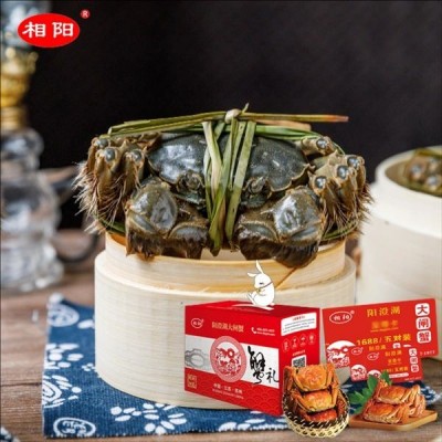 大闸蟹附近蟹卡_价格表_二十多款大闸蟹型号价格可谈欢迎咨询图3
