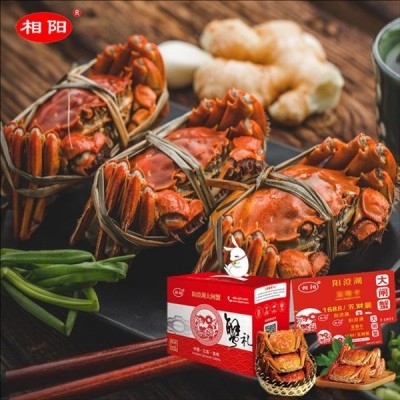 阳澄湖大闸蟹沈阳蟹卡_价格表_二十多款大闸蟹型号价格可谈欢迎咨询图2