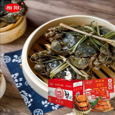 阳澄湖大闸蟹沈阳蟹卡_价格表_二十多款大闸蟹型号价格可谈欢迎咨询图4