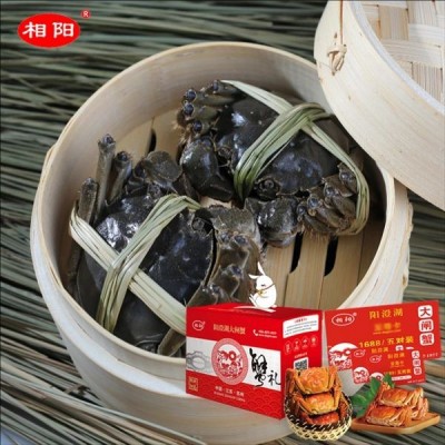 阳澄湖大闸蟹沈阳蟹卡_价格表_二十多款大闸蟹型号价格可谈欢迎咨询
