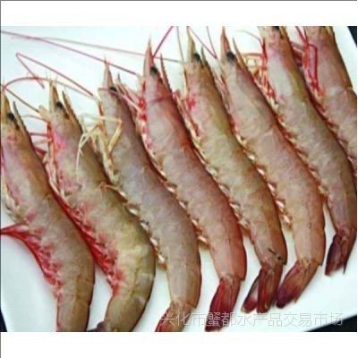 龙虾批发|龙虾批发厂家
