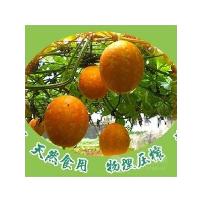 新晃山吊瓜食用油图2