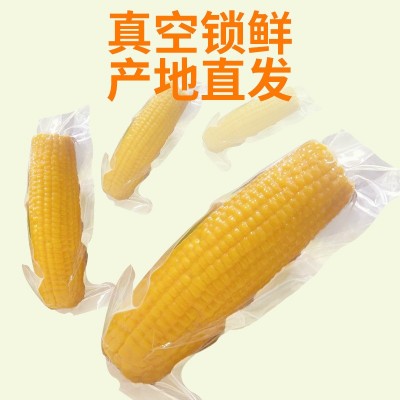 厂家直供东北黄糯玉米 糯九玉米8支10支装厂家代发甜糯黄图4