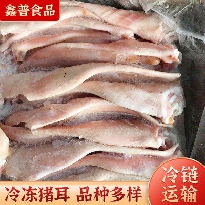 批发冷冻猪耳 生鲜批发冷冻猪耳 做菜凉拌猪耳朵烧烤猪耳花