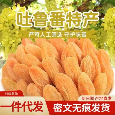 新疆特产黄葡萄干新货批发500g 代发提子干零食树上黄大颗葡萄干
