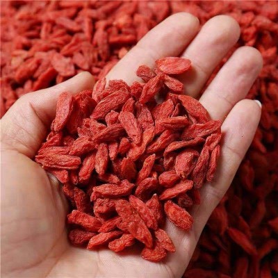宁夏红枸杞头茬新货批发500g 枸杞子干无沙大颗粒泡酒中宁枸杞子图4