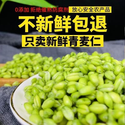 清麦仁新鲜农产品青小麦粒脱皮小麦煮粥五谷杂粮速冻青麦仁400克图2