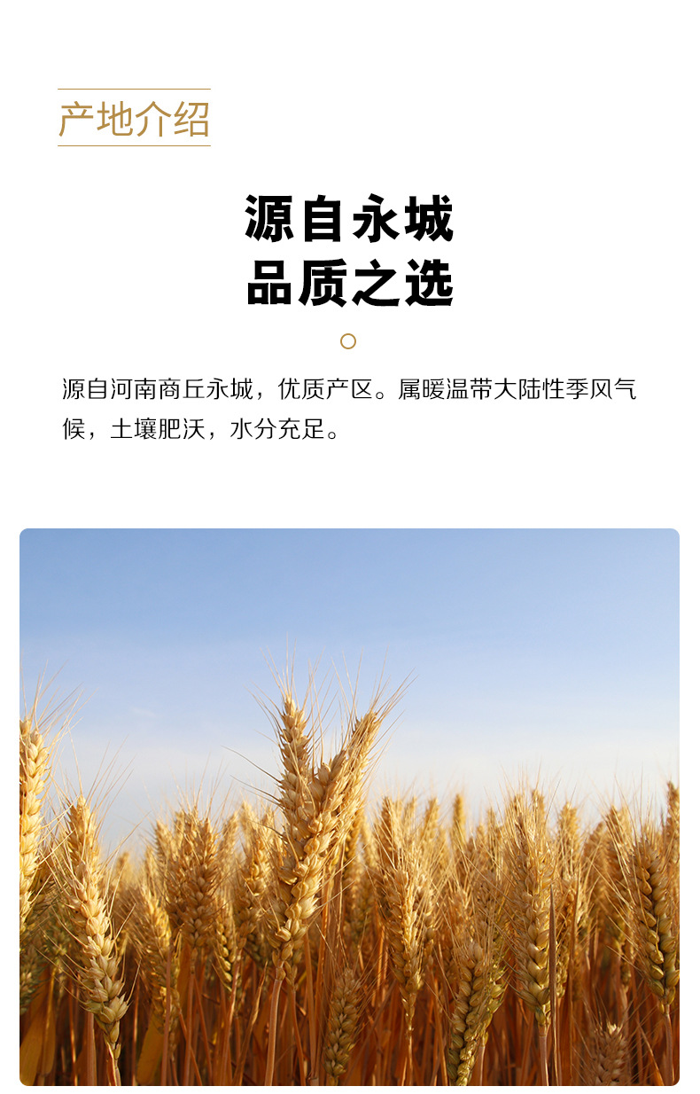 2 拷贝