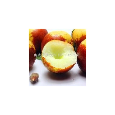 品质鲜枣 精心挑选，每一颗都是精品图3