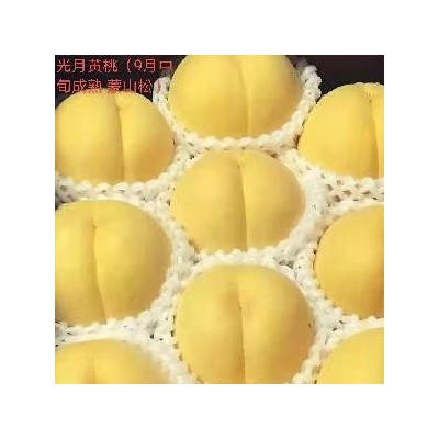 光月黄桃