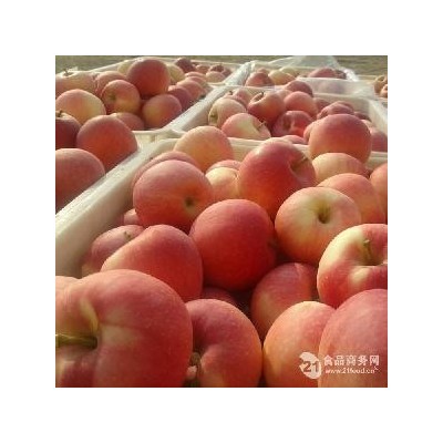 洛川红富士75mm一级果