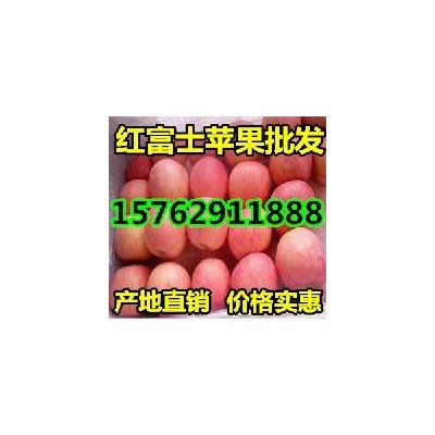 全国红富士苹果格