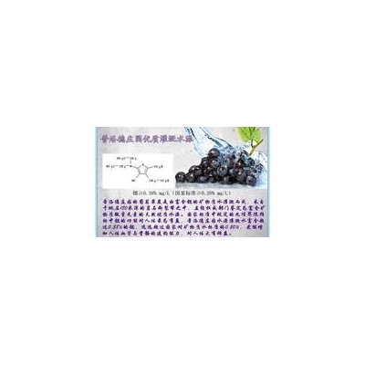 大连普洛德酒庄-葡萄酒庄园采摘葡萄