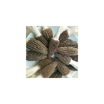 新鲜羊肚菌500g泡沫箱子包装包物流