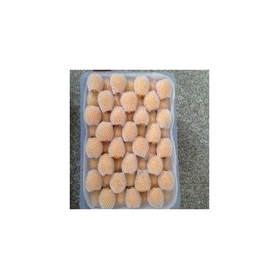 云南蒙 新鲜水果 枇杷果琵琶果