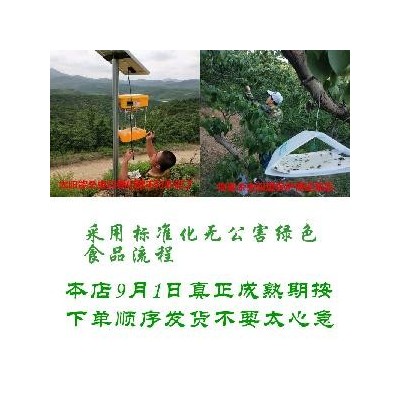 东北鞍山南果梨软梨水果5斤装礼盒南国梨梨子新鲜产地直供香水梨图2