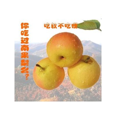 东北鞍山南果梨软梨水果5斤装礼盒南国梨梨子新鲜产地直供香水梨图1