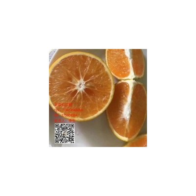 正宗廉江红江橙供应商|13414966066李生图2