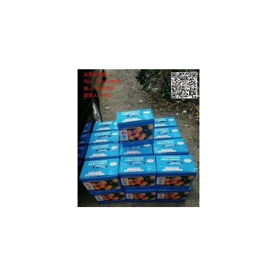 正宗廉江红江橙生产基地|13414966066李生
