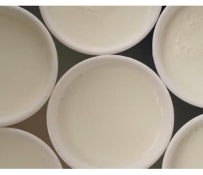顺德美食“双皮奶”美味的秘诀，“水牛奶”首屈一指