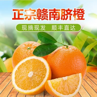 【果园直供】正宗赣南脐橙现摘现发新鲜水果皮薄香甜橙子批发