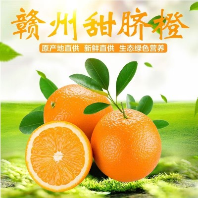 【果园直供】正宗赣南脐橙现摘现发新鲜水果皮薄香甜橙子批发图4