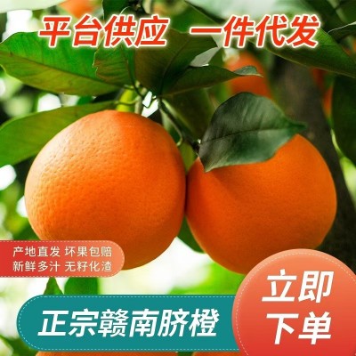 【果园直供】正宗赣南脐橙现摘现发新鲜水果皮薄香甜橙子批发图3