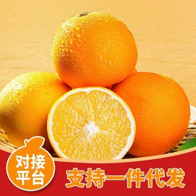赣南脐橙新鲜维C水果批发应季VC精品礼盒5斤10斤礼盒装橙子批发图3