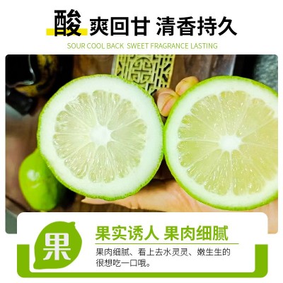 广东香水柠檬新鲜野生饮品店专用香水柠檬专1级柠檬支持一件代发