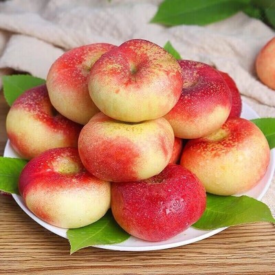 广州江南批发直发【顺丰】纽扣油蟠桃当季新鲜水果脆甜桃子图4