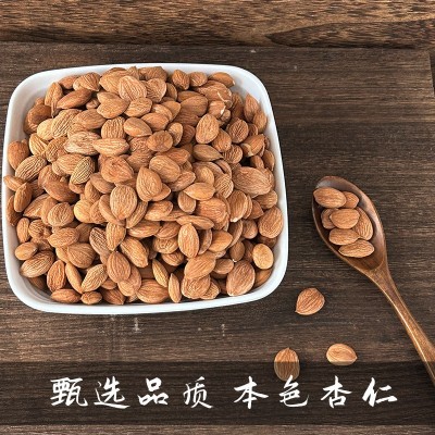 敦煌特产罐装李广杏仁敦煌李广杏仁旅游特色坚果小吃零食敦威厂家图3