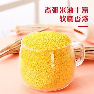 三顷粮 有机黄小米 有机五谷杂粮 粗粮 500g桶装 厂家批发图5
