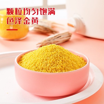 三顷粮 有机小米 黄小米 1.5kg罐装 五谷杂粮 粗粮 厂家批发图4