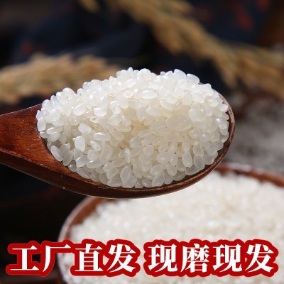 东北大米1斤批发粳米新米圆粒珍珠米500克袋装贴标LOGO一件代发图3