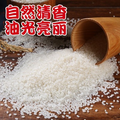 东北蟹田大米5kg当季新米农家蟹田种植圆粒米10斤粳米厂家批发图4