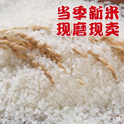 东北蟹田大米5kg当季新米农家蟹田种植圆粒米10斤粳米厂家批发图3