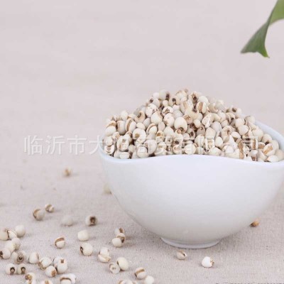 批发大薏米杂粮大薏仁米 一件代发真空包装 五斤包邮图2