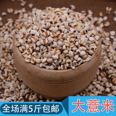 批发大薏米杂粮大薏仁米 一件代发真空包装 五斤包邮图3